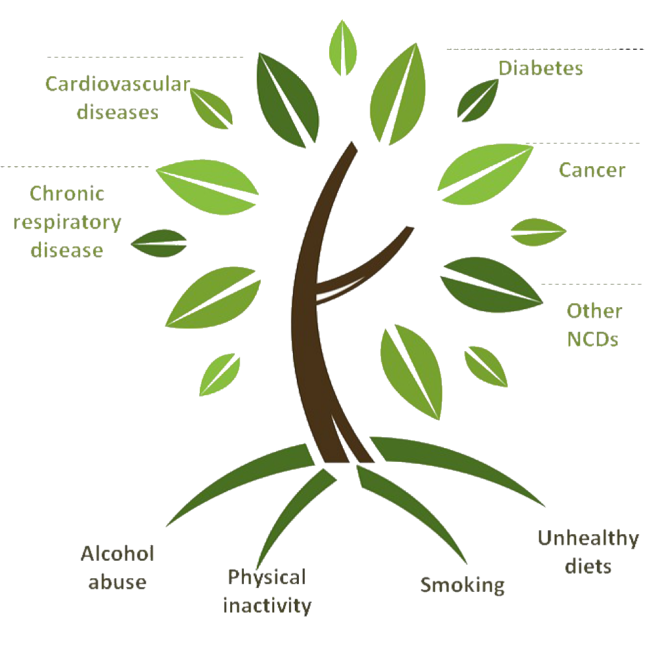 NCD Tree